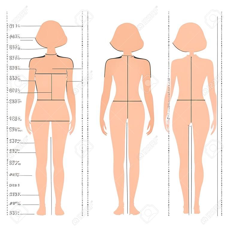 vector body metingen maattabel, vrouwelijke kleding model, naaien