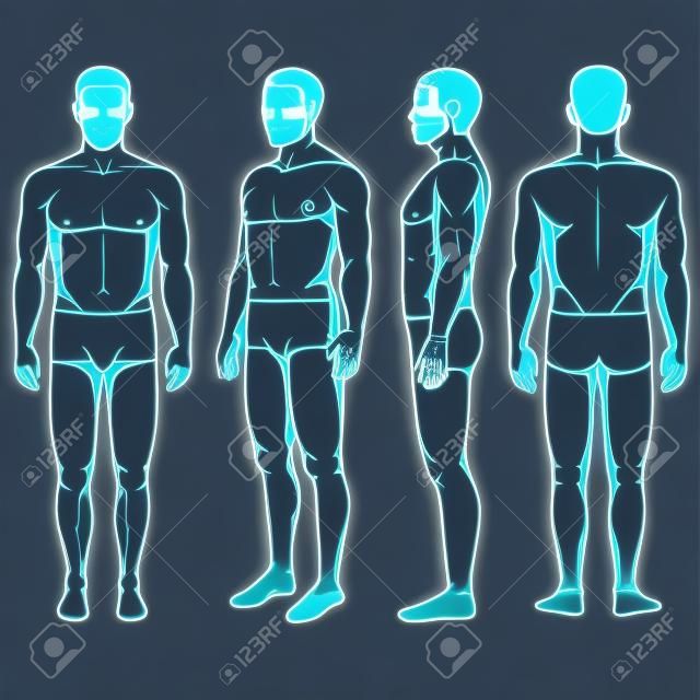 anatomía del cuerpo humano, vector hombre parte trasera delantera