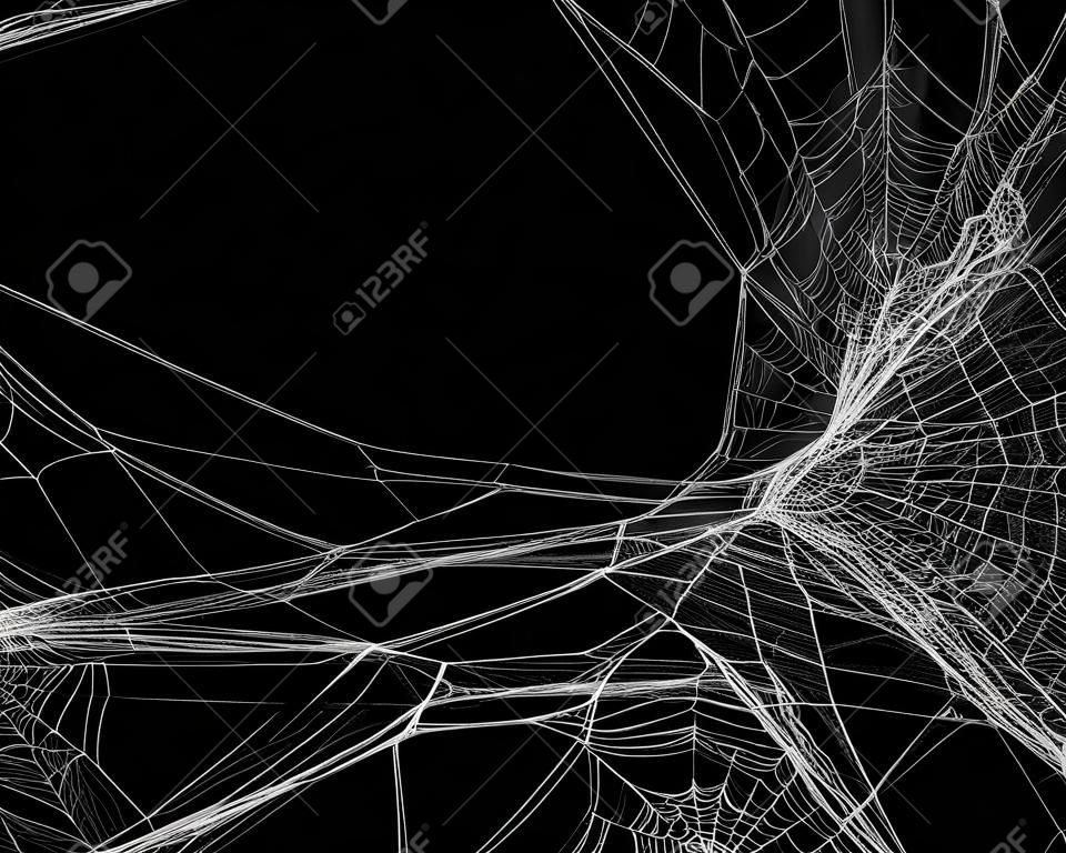 Collectie van Cobweb, geïsoleerd op zwarte, transparante achtergrond. Spiderweb voor Halloween ontwerp. Spooky, eng, horror Halloween decor.