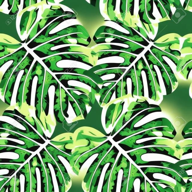 Wektor wzór z liści monstera. Monochromatyczne tropikalny tło z nadrukiem palm hawajskich.