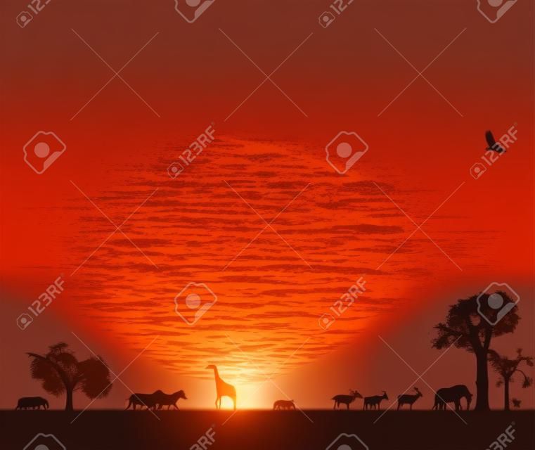 illustraion de animales en la puesta de sol en África