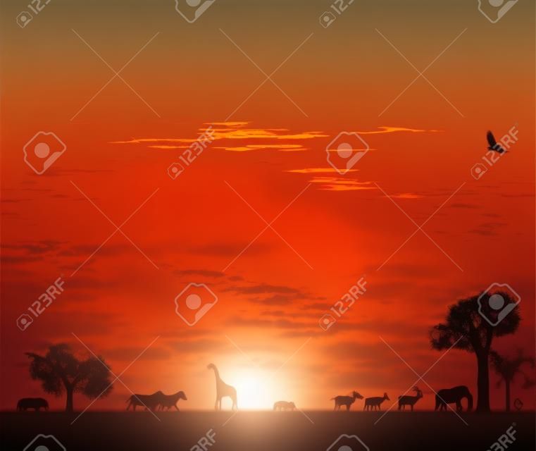 illustraion животных в закат в Африке
