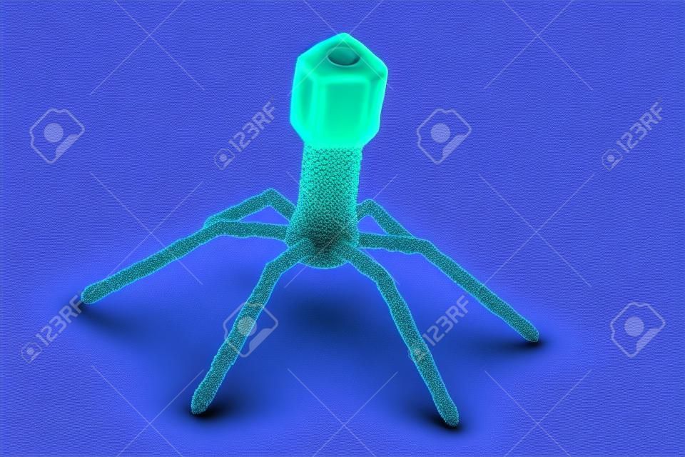 Bakteriyofaj virüs elektron mikroskobu görüntüsü
