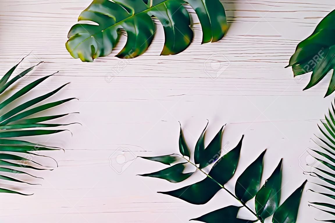 Creatieve lay-out gemaakt van diverse tropenpalmen en varenbladeren op pastelroze achtergrond,