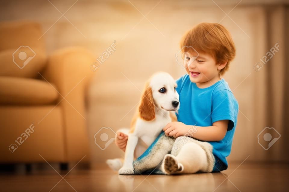 赤ちゃん犬と遊ぶ子供。子供たちは子犬と遊びます。自宅のソファで小さな男の子とアメリカのコッカースパニエル。子供とペットは自宅で。ペットと一緒に床に座っている子供。動物のケア。