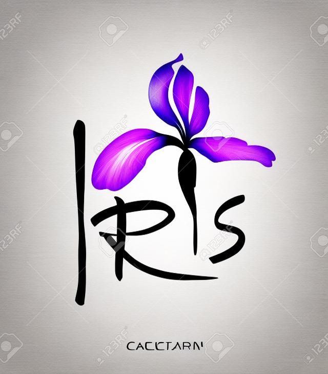 Vector flower logo. Floral background. Stylized calligraphic ink iris.