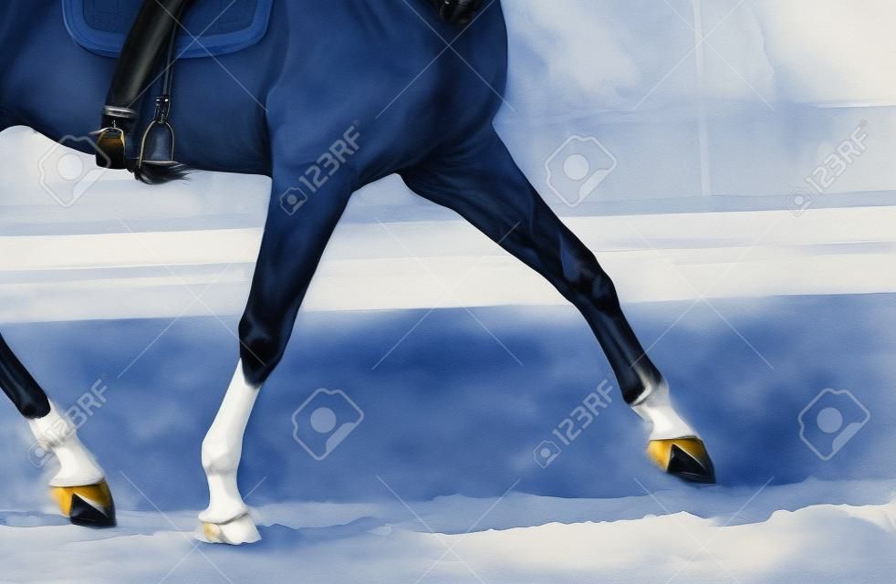 Dressage cavallo e un cavaliere