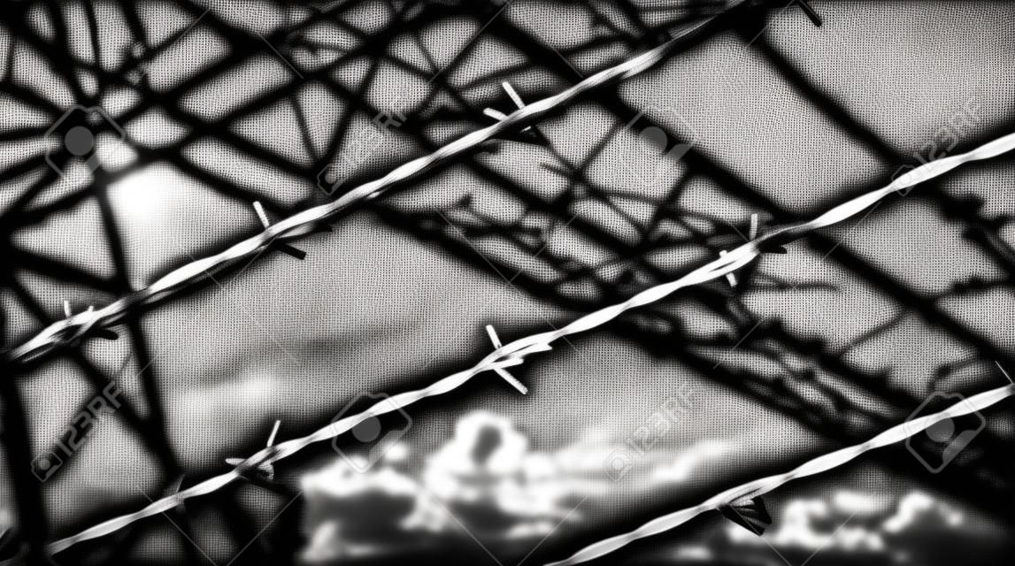 recinzione di filo spinato drammatico con effetto bianco e nero