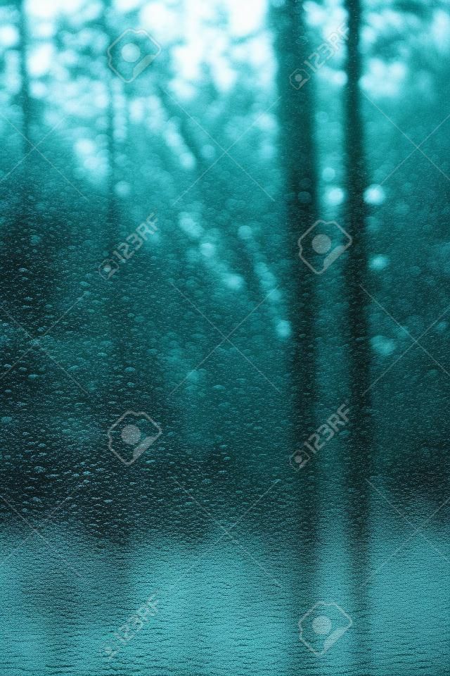 Gocce di pioggia sul parabrezza con uno sfondo di foresta