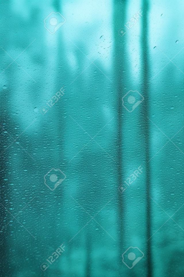 Gocce di pioggia sul parabrezza con uno sfondo di foresta