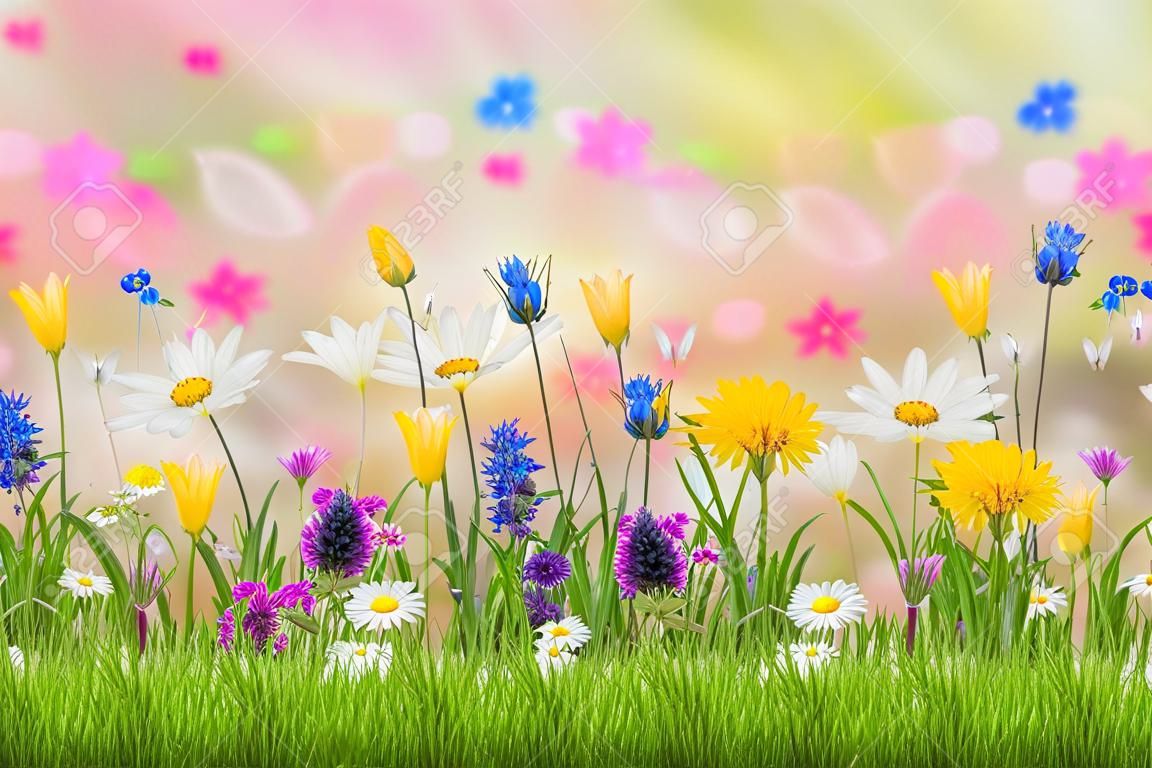 Весенний луг с красивыми цветами, природа фон