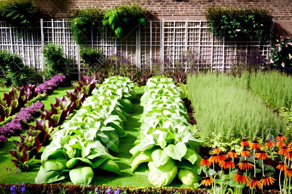 ogród warzywny w późnym latem. Zioła, kwiaty i warzywa w ogródku formalnym ogrodu. Eco friendly ogrodniczego