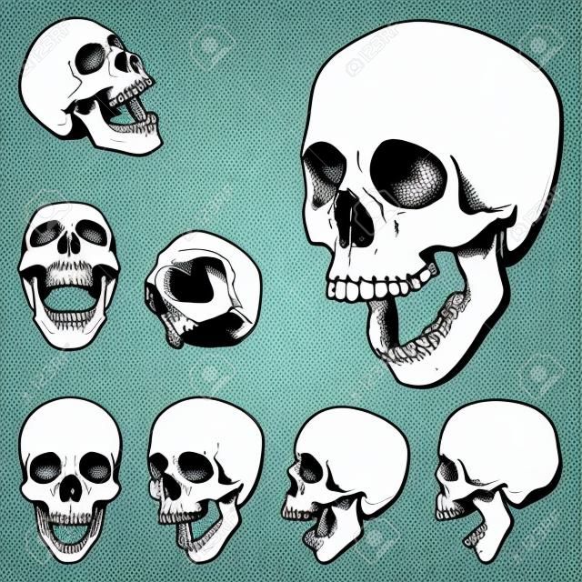 Set of seven drawings of human skull   Vector illustration
