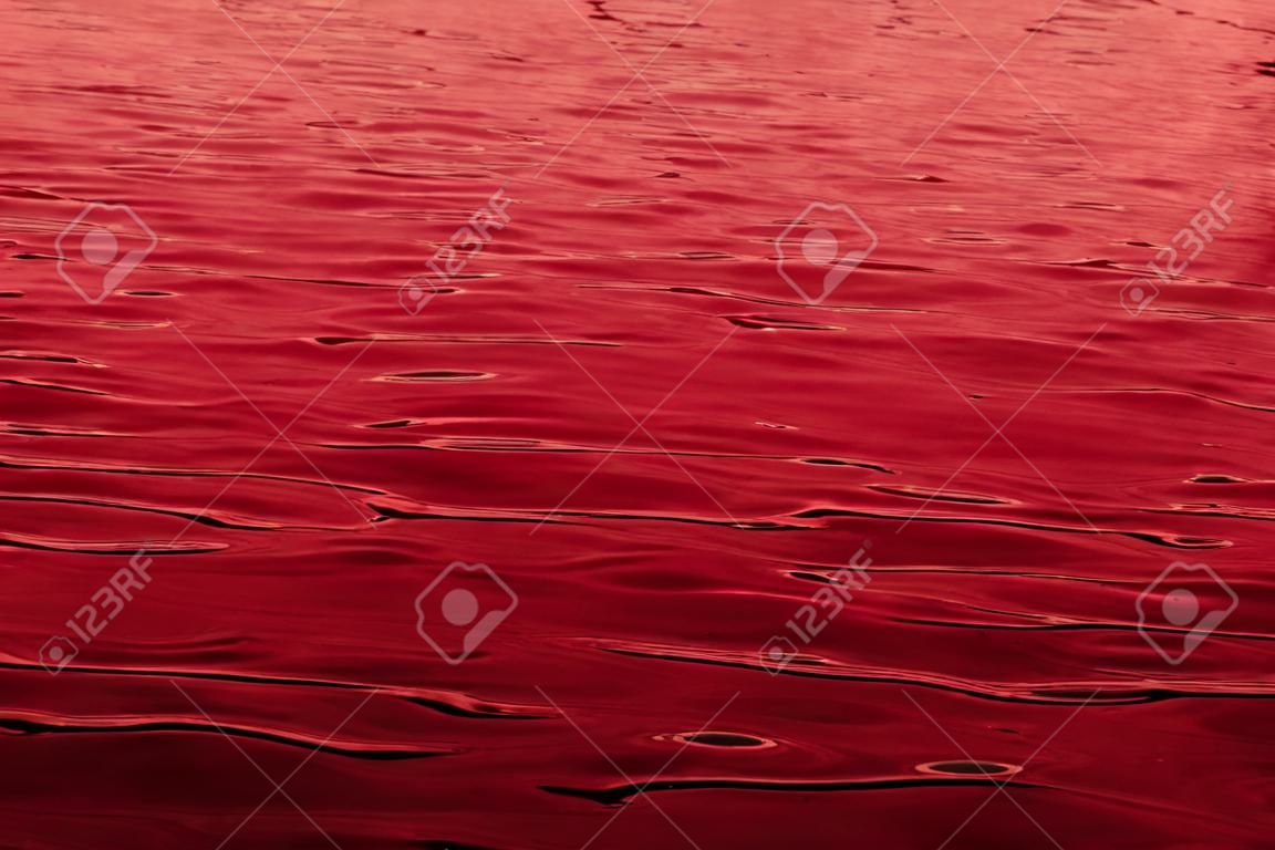 -血の海の水の表面のクローズ アップ