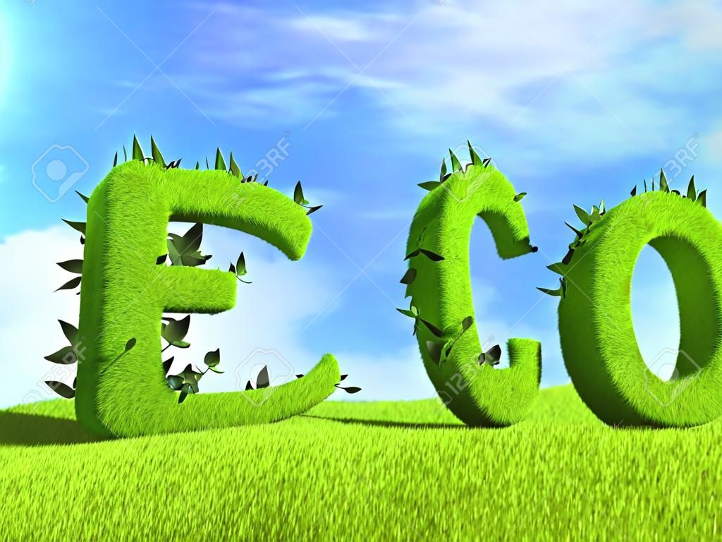 Texto ECO en campo de hierba. Ecología concepto 3D