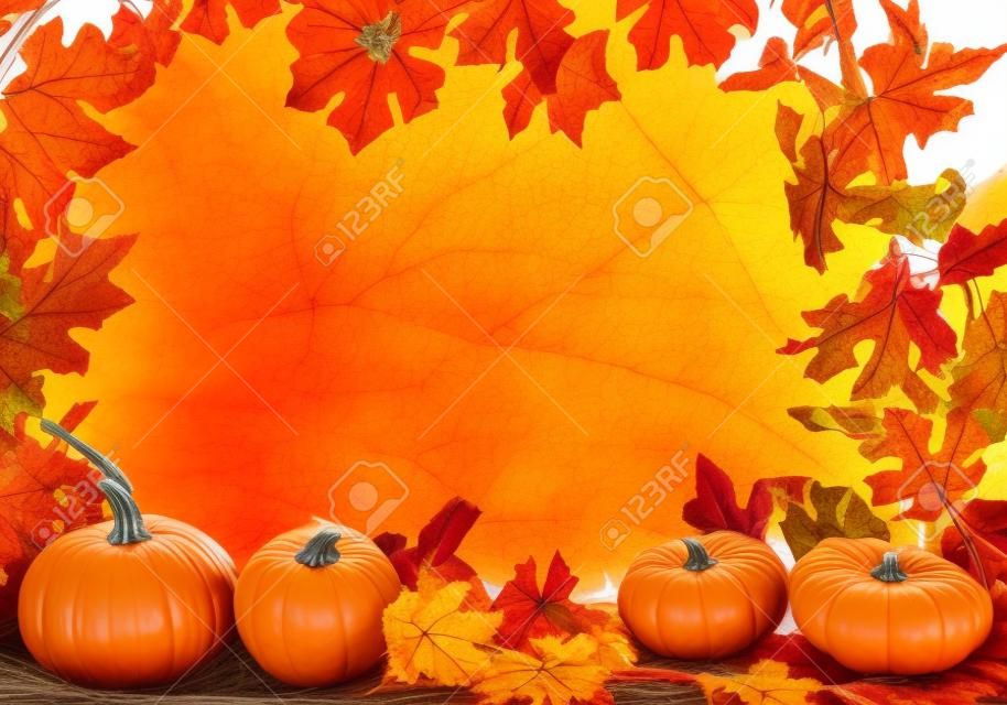 Border of Assorted sizes of pumpkins with hay on a white background with fall leaves