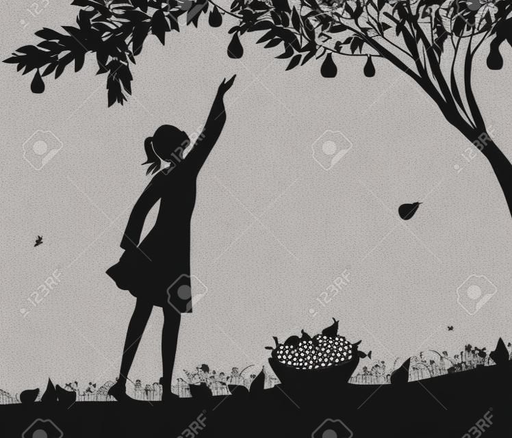 Dziewczyna silhoutte żniwa gruszki, scena zbioru owoców, cienie czarno-białe, wiadro pełne gruszek na trawie, produkt natura, wektor
