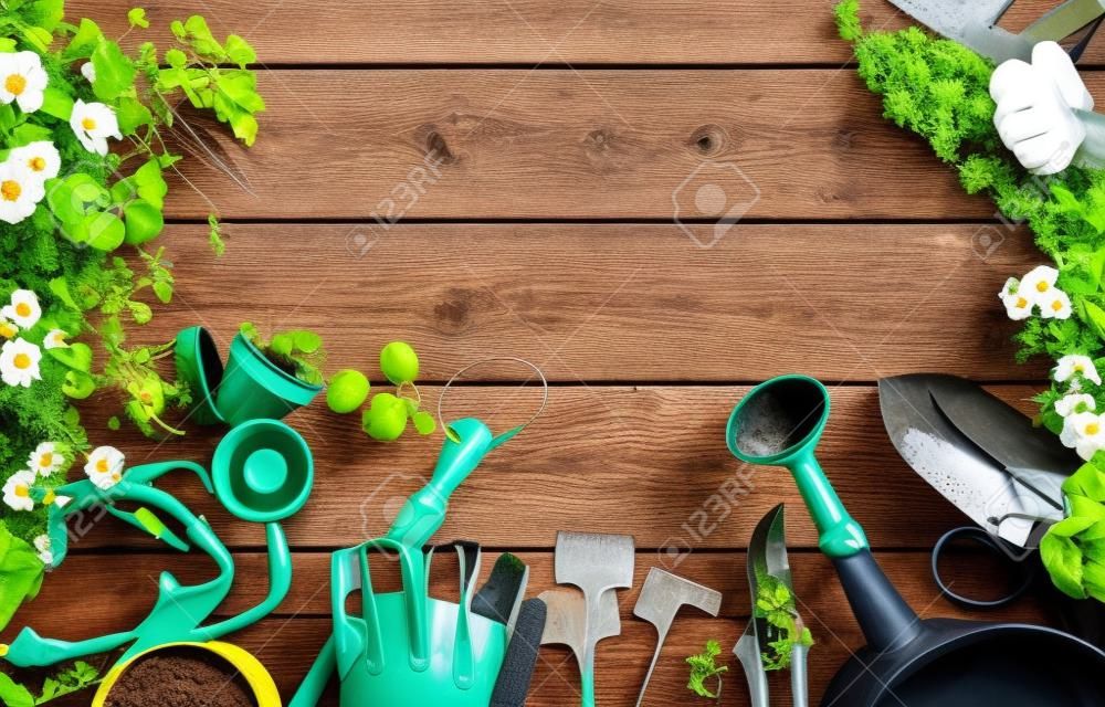 Frühlingspflanzen und Gartengeräte gestalten oder fassen über rustikalem Holz mit Kopienraum mit Handschuhen, Gießkanne, Blumentöpfen, Boden, Kelle und Sämlingen für die Verpflanzung ein