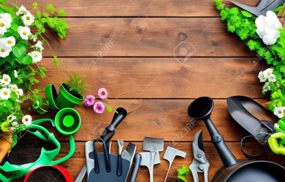 Spring plants and garden tools frame or border over rustic wood with copy space with gloves, watering can, flowerpots, soil, trowel and seedlings for transplanting