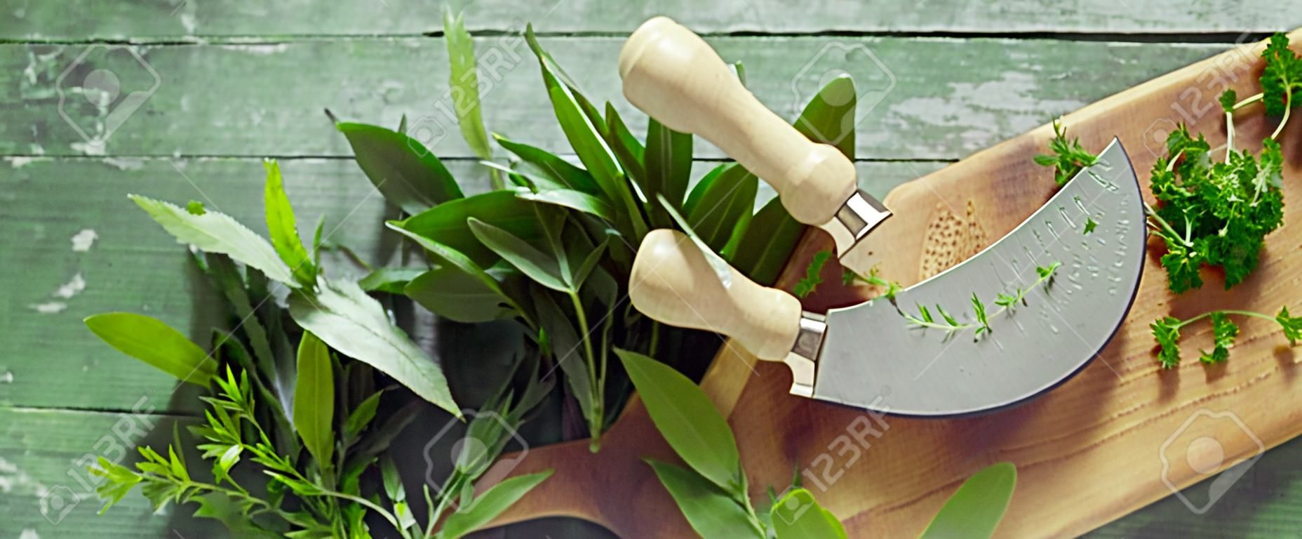 Panorama rustique ou vintage sur bois vert marbré avec brins d'herbes fraîches assorties sur une planche de bois avec couteau mezzaluna pour hacher avec espace de copie