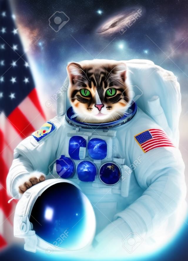 아름 다운 고양이 우주 비행사.