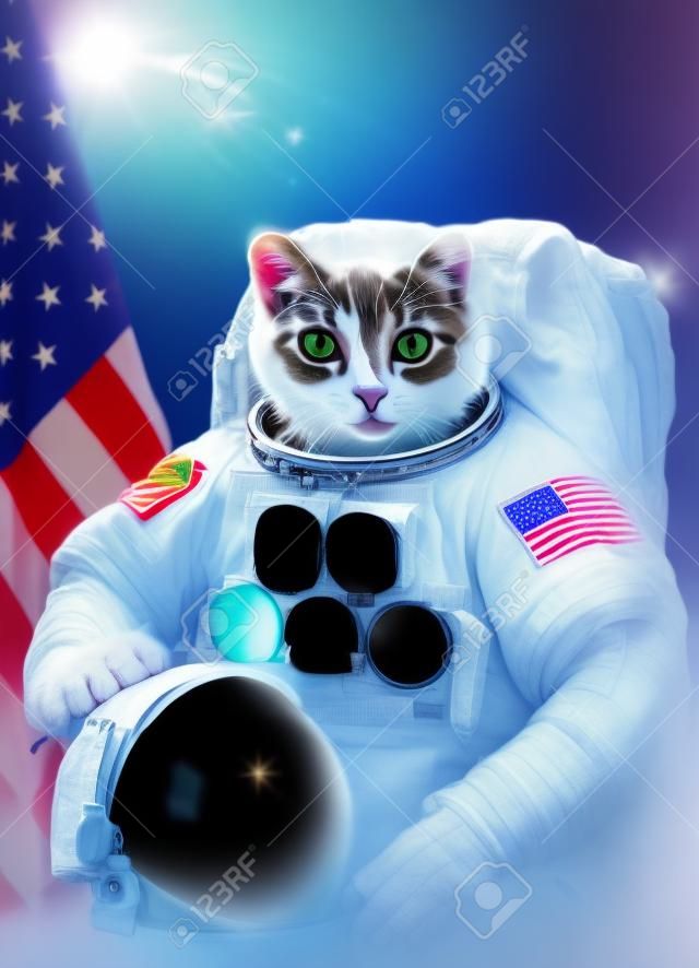 Piękny kot astronauta.
