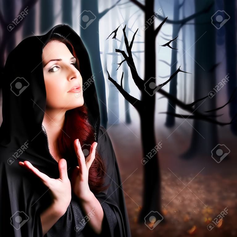 森林中的小女巫