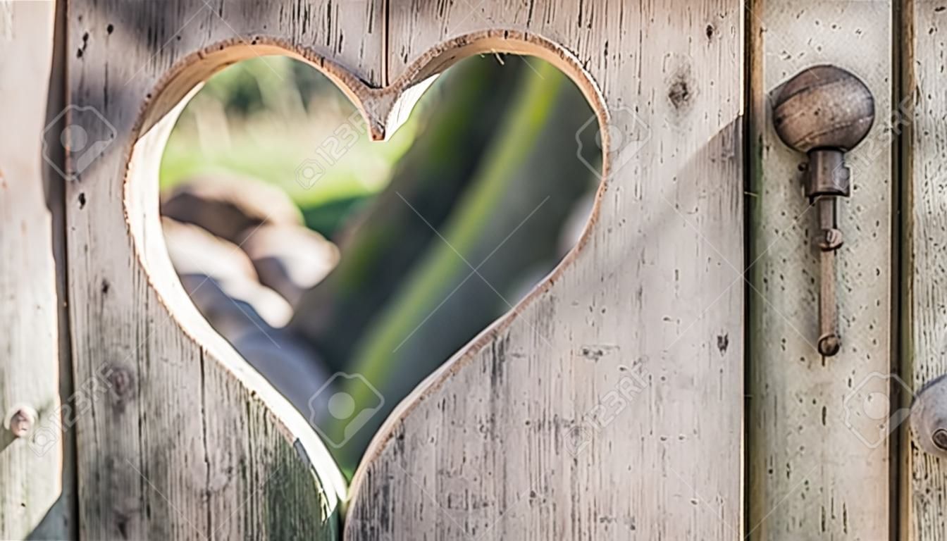 Herzform geschnitten in Holzbrettern Hintergrund mit Sonnenschein