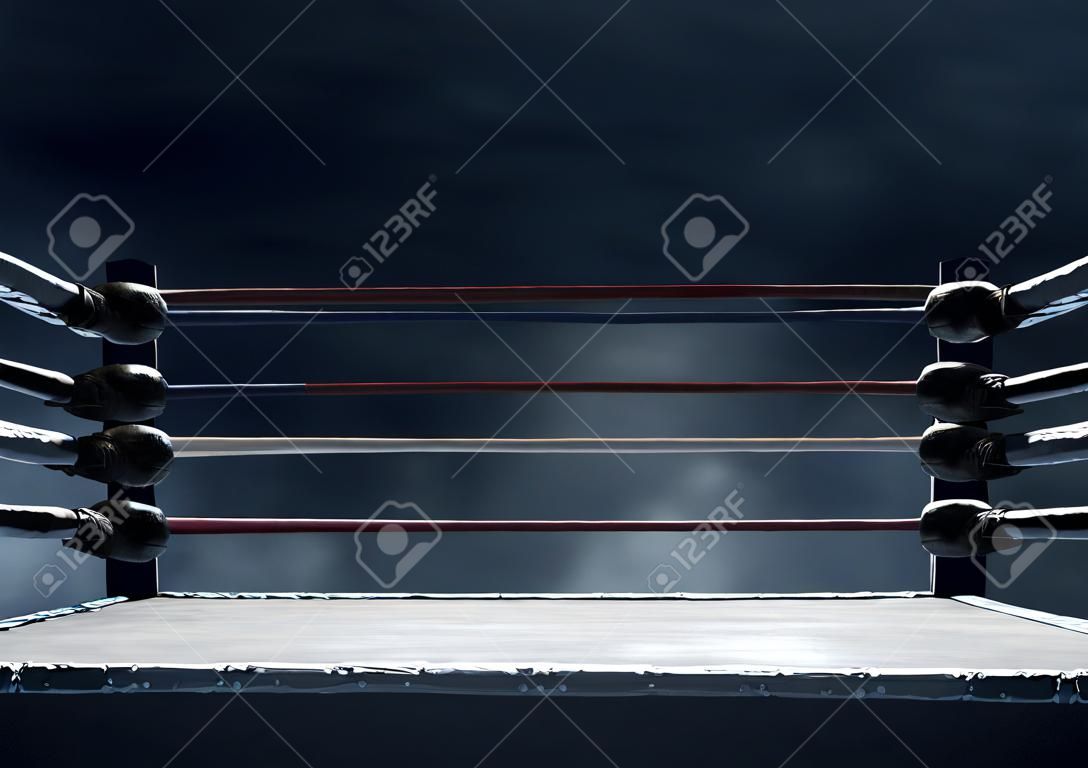 anillo de boxeo profesionales