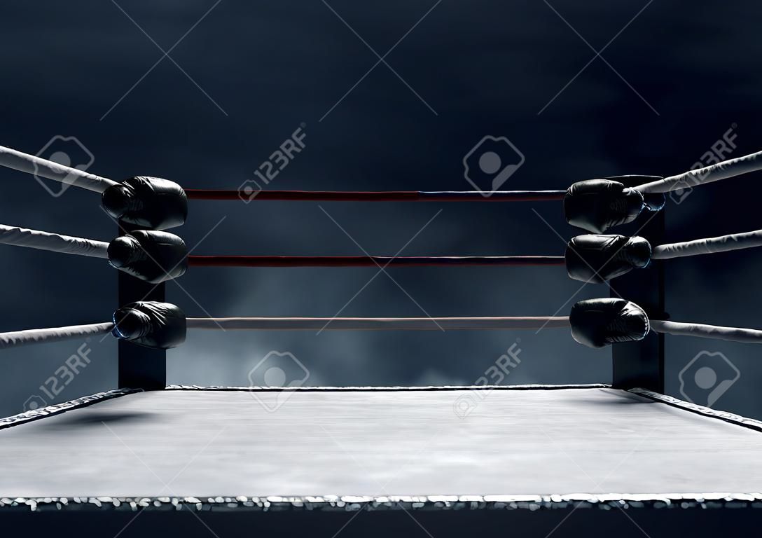 Profesjonalny ring bokserski