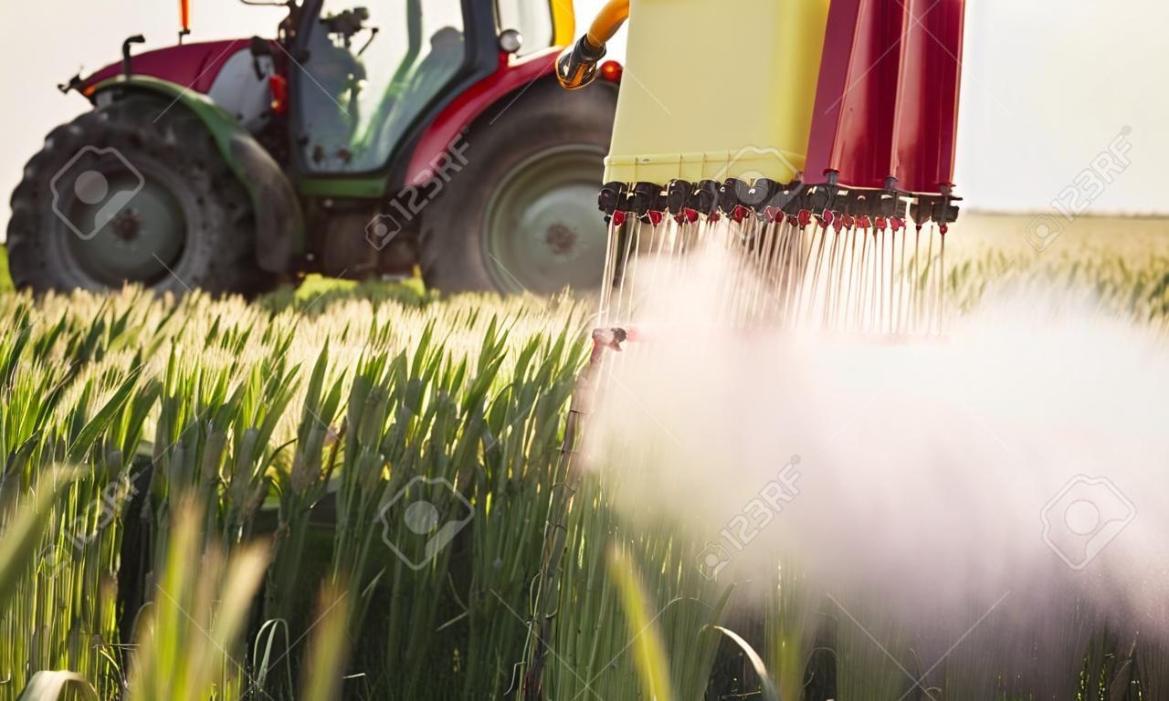 Трактор опрыскивания пшеничное поле с распылителем