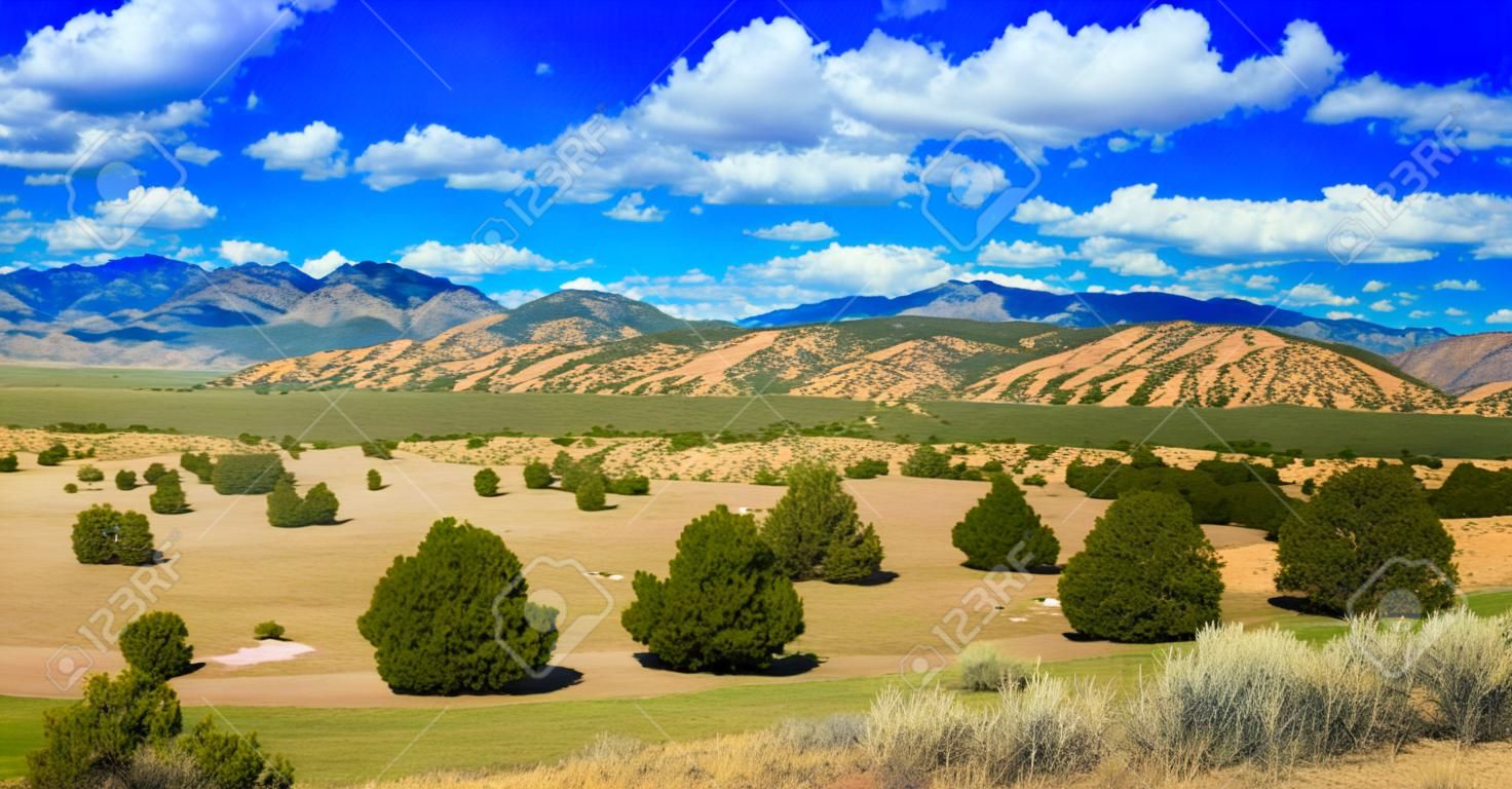 Красивые Нью-Мексико пейзаж пустыни.