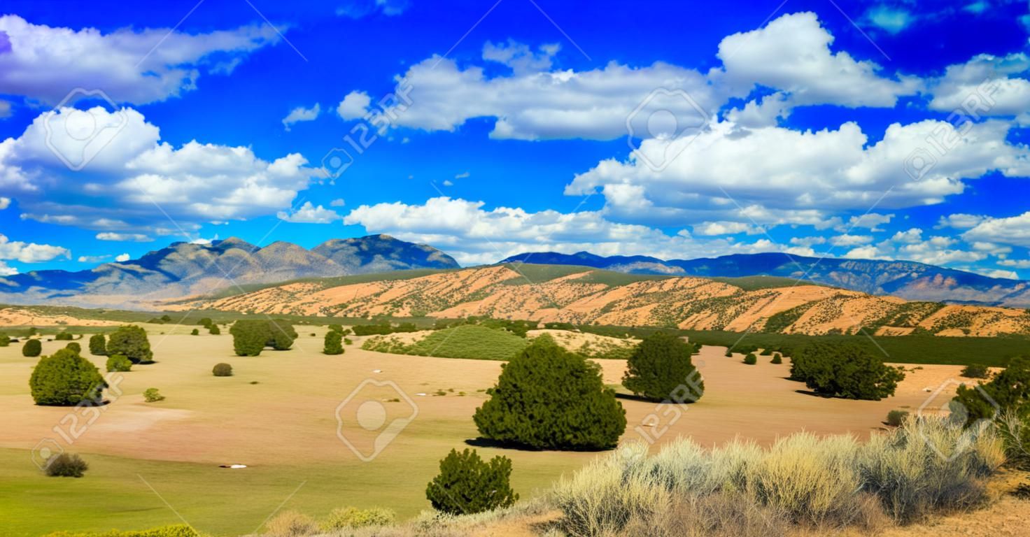 美しいニュー メキシコ州の砂漠の風景。