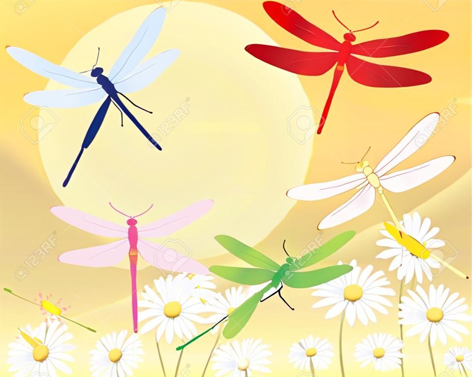eine Darstellung eines schönen bunten Libellen fliegen über weiße Gänseblümchen unter einem großen gelben Sonne