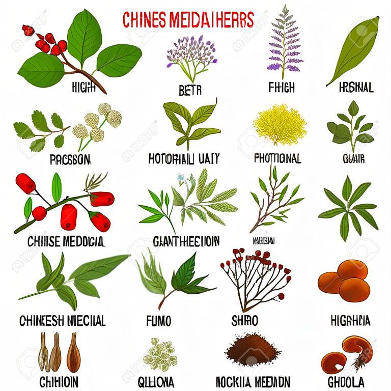 herbes médicinales chinoises