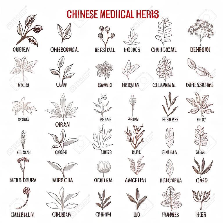 Chińskie zioła lecznicze