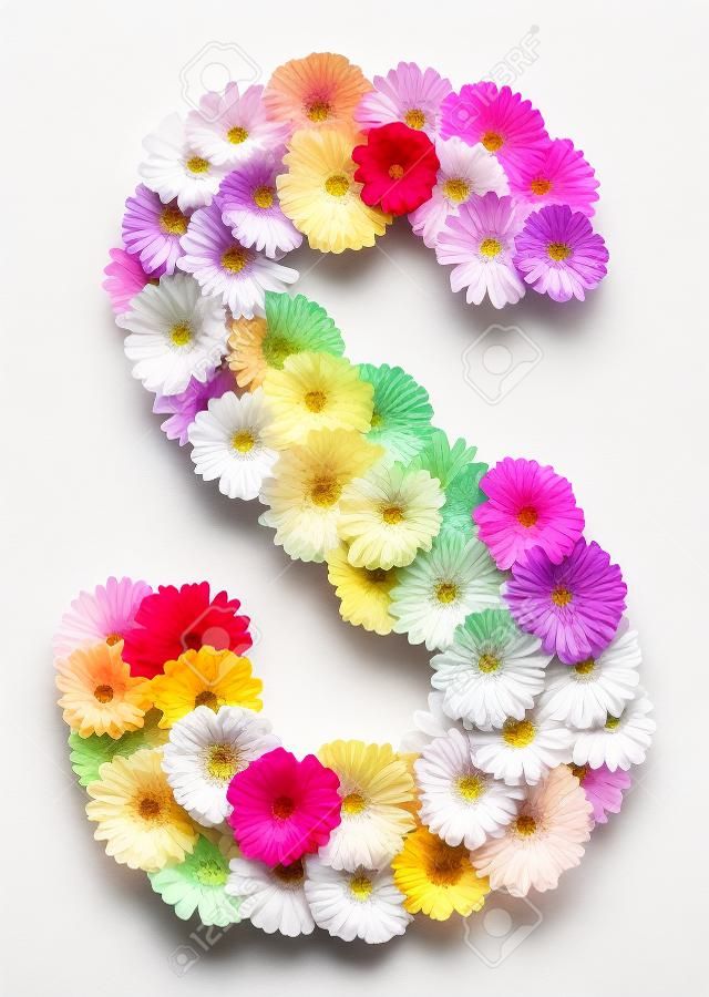 Lettera S - alfabeto fiore isolato su sfondo bianco