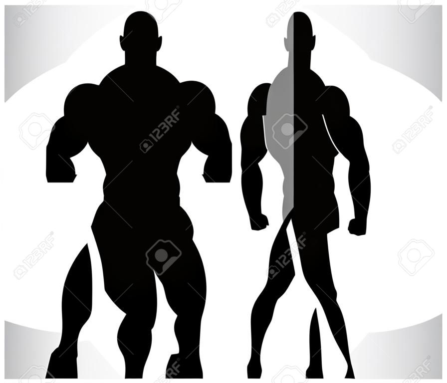 Silhueta ilustração de um fisiculturista.Anatomia muscular masculina. Ilustração vetorial