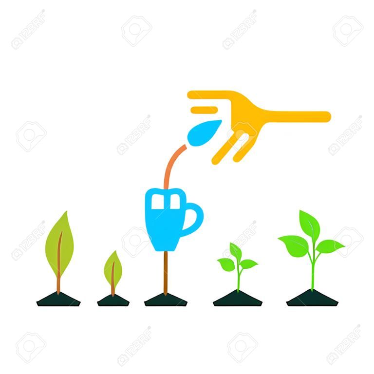 Line sprout and plant growing. Linear nature leaf, grow tree, garden and flower, organic gardening, eco flora. Timeline infographic of planting tree process, business concept flat design.