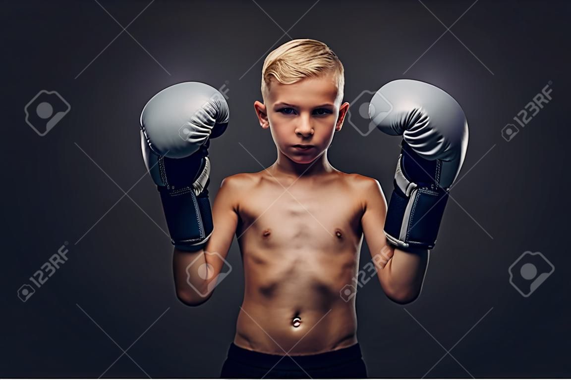 boxeador chico joven sin camisa con los guantes de boxeo posando en un estudio