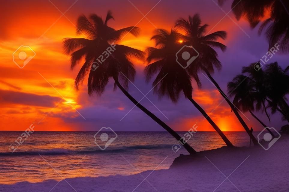 Belo pôr do sol sobre o mar com vista para palmeiras na praia branca em uma ilha caribenha de Barbados