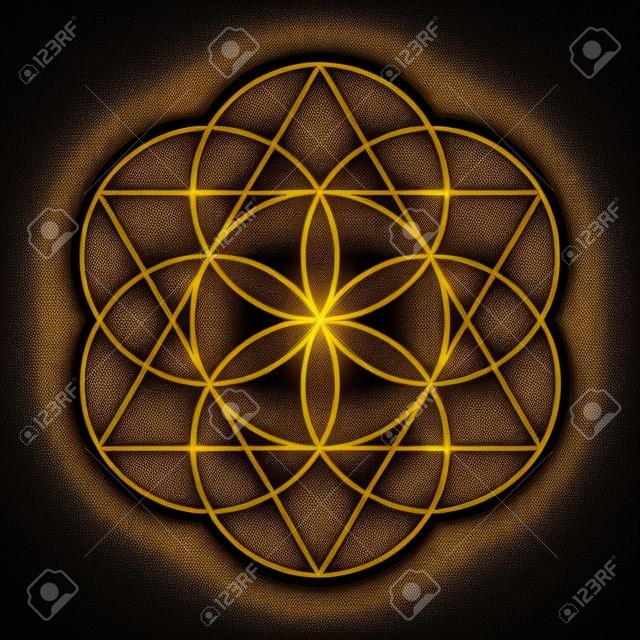 Fiore della vita. Geometria sacra di vettore dorato isolata sul nero.