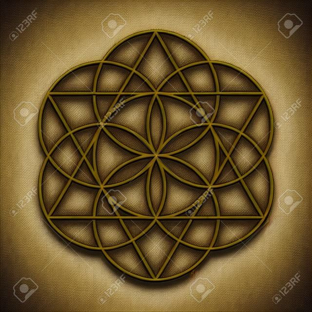 Fiore della vita. Geometria sacra di vettore dorato isolata sul nero.
