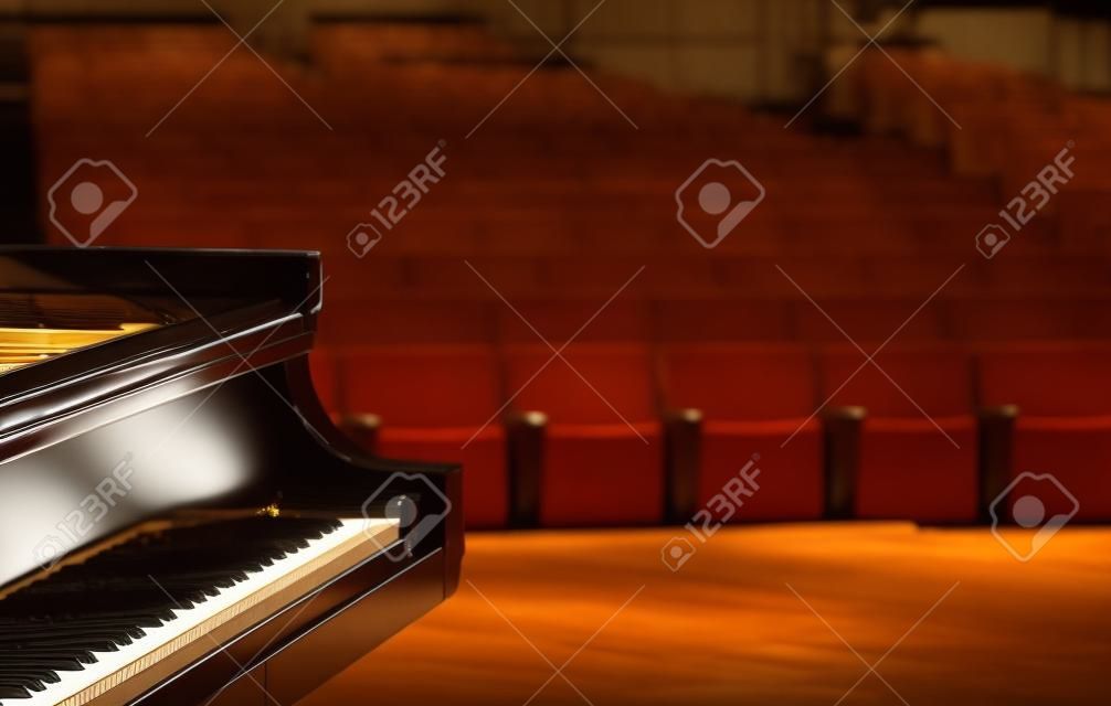 Koncert fortepian, widok z etapu