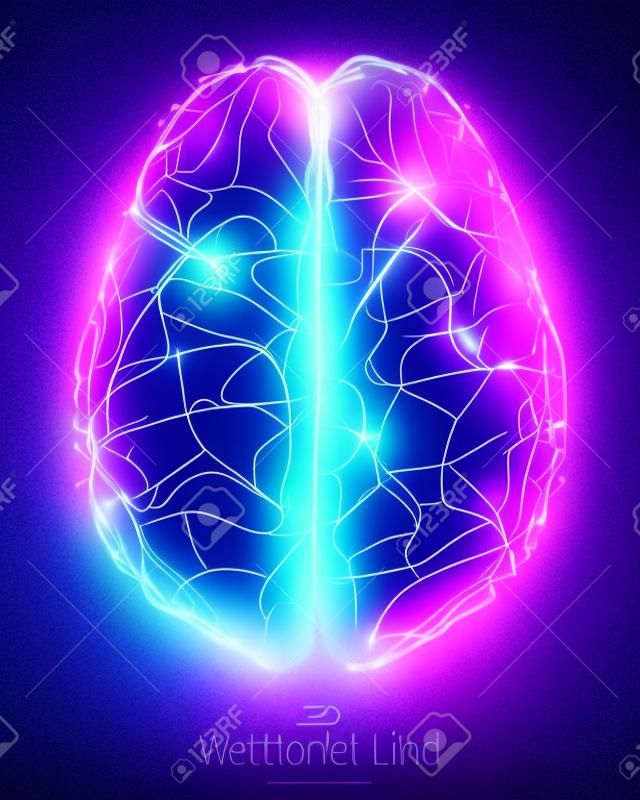 Vector l'illustrazione viola della cima del cervello 3d con le sinapsi e i neuroni d'ardore. Immagine concettuale della nascita dell'idea o dell'intelligenza artificiale. La rete di linee lucide forma la struttura del cervello. Scansione mentale futuristica