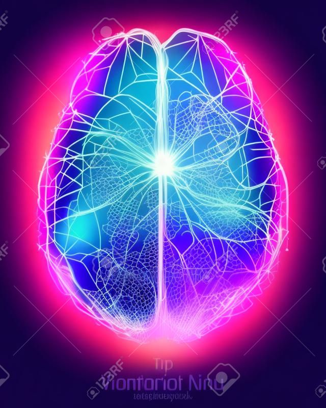 Vector violet illustration of 3d brain top with synapses and glowing neurons. Conceptual image of idea birth or artificial intelligence. Net of shiny lines forms brain structure. Futuristic mind scan