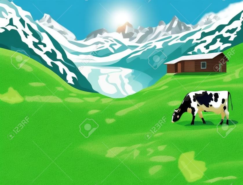 Dairy cow on a alps mountains green meadow Vector