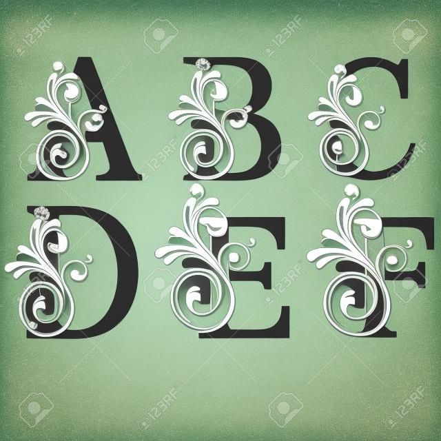 Wielkie litery A, B, C, D, E i F z klasycznym wektorem kwiatowym