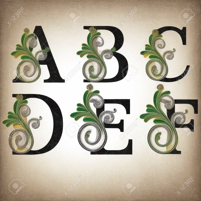 Letras mayúsculas A, B, C, D, E y F con diseño de vector floral vintage