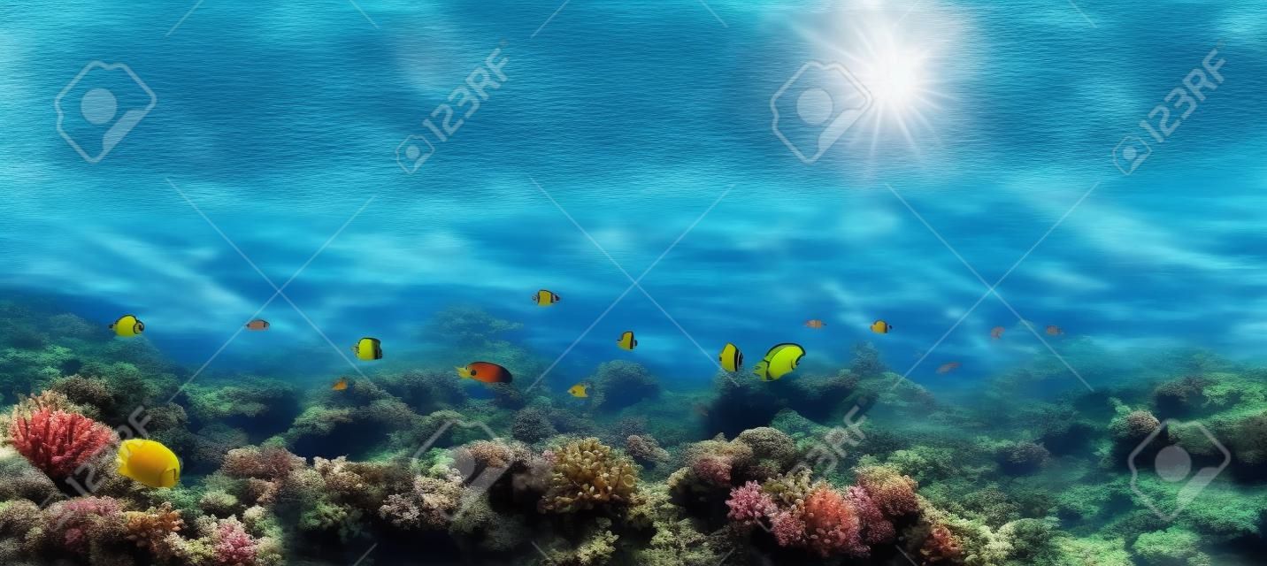 Wunderschöner Unterwasser-Panoramablick mit tropischen Fischen und Korallenriffen